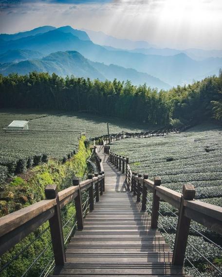 高山上的竹林彷彿小京都...