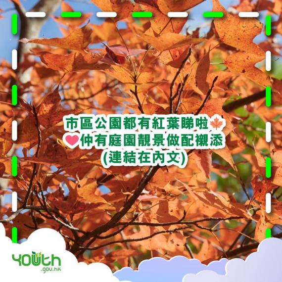康文署公園紅葉情報：https://bit.ly/3WaL5Dq...