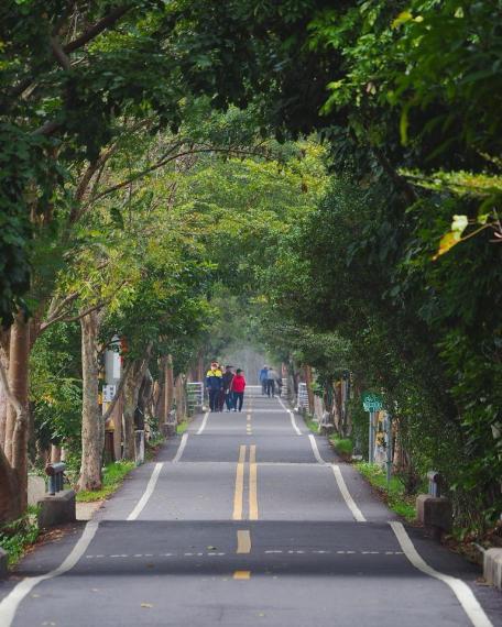「潭雅神綠園道」那宛如洋芋片的波浪腳踏車道...