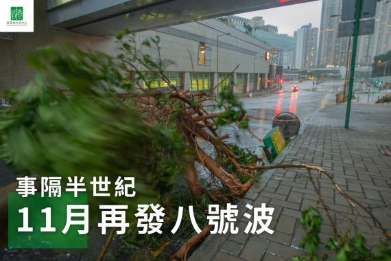 11月掛八號波 50年後再現...
