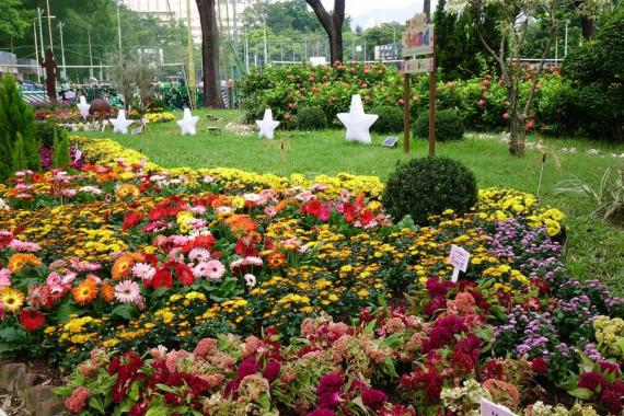 花墟公園 花悦滿城 星...