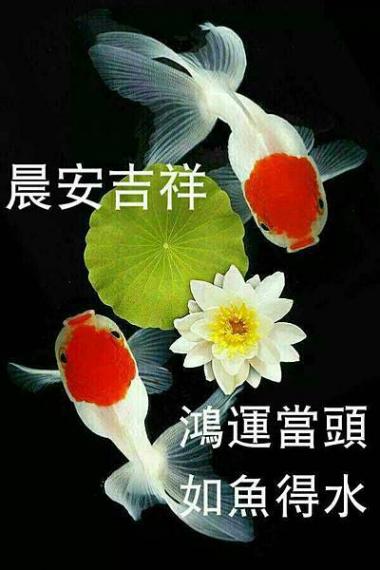 老友記早安,吉祥如意...