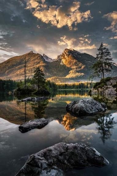 The Black Forest, Germany.......