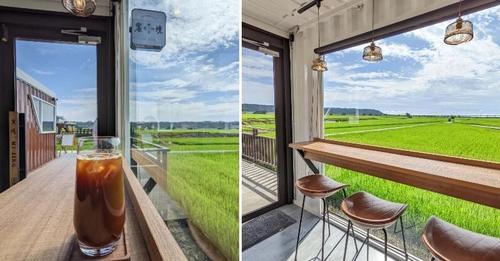 眺望綠油油田野！.......