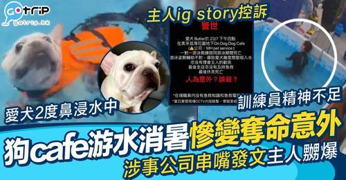 有狗主人帶狗狗去cafe游水消暑...