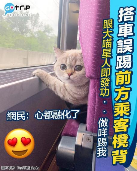 早前有網民搭車嗰陣唔小心踢到前面張櫈...