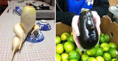 小鴨形狀的番茄也超Q超療癒...