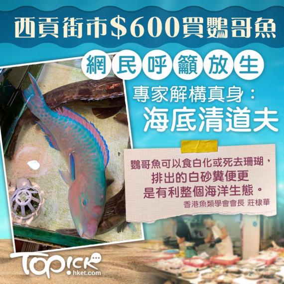 海底清道夫好有用......