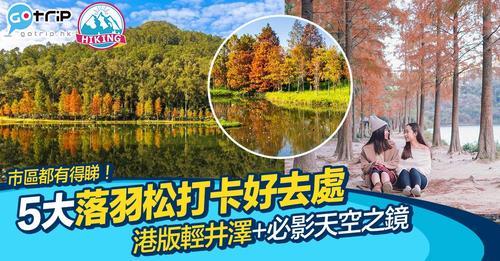 每逢秋冬都係賞落羽松嘅最佳季節...