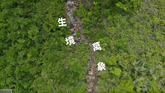 喺上山下海嗰陣，你會留意到美麗嘅景色、富饒嘅物種，定係多元嘅生境呢？...