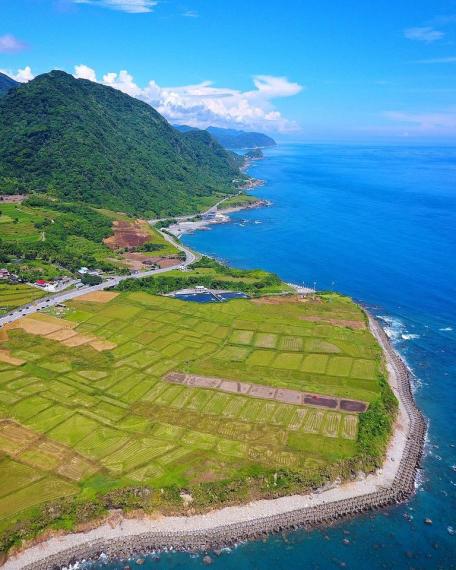 金黃色的海岸璀璨梯田...