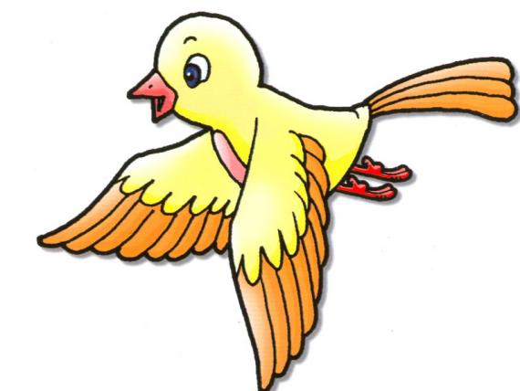 We should protect the birds.
我們應該保護鳥類。...