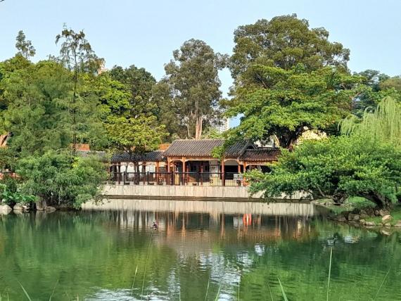 上水北區公園,花草令人心醉了....