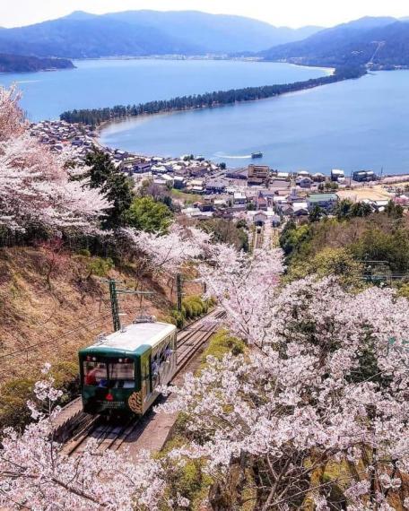 日本 -- 京都宮津市..........
