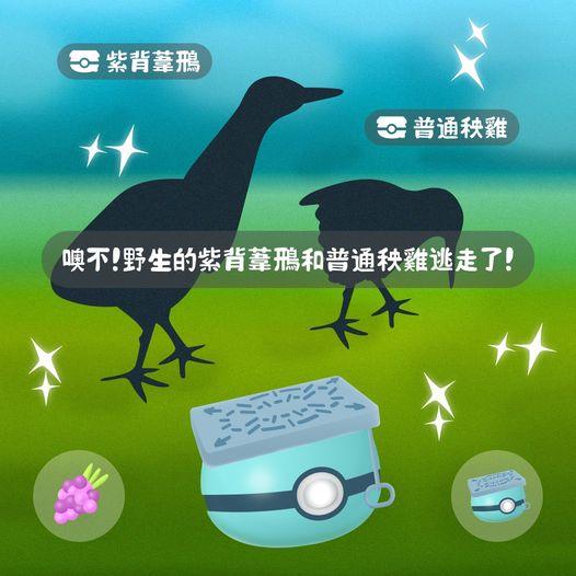 罕見河道生態成員出沒注意...