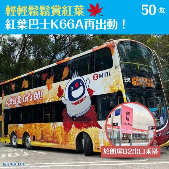 大棠紅葉季節又到了......