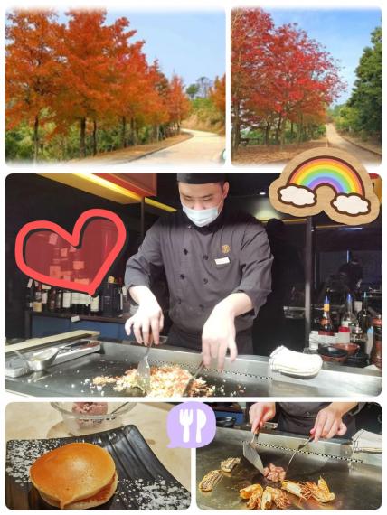 大欖郊野公園的元朗大棠楓香林...