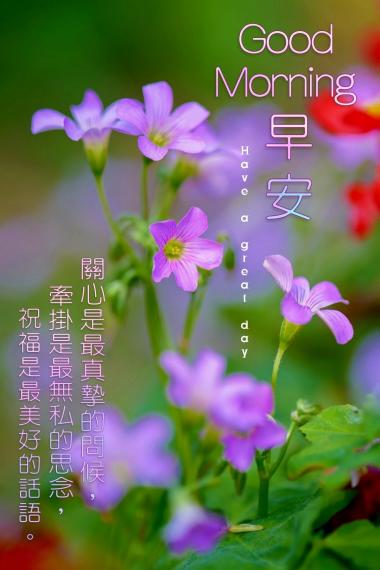 把陽光與祝福
送給你,
朋友早安！...
