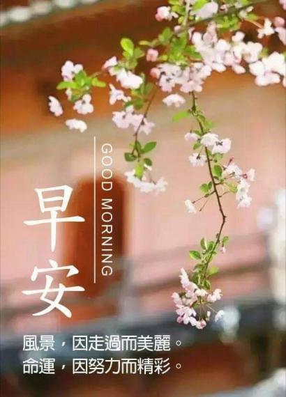 老友記早晨,努力幸福生活。...