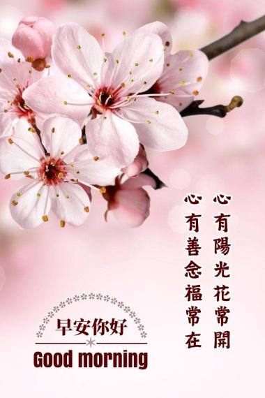 朋友早
心中充滿陽光
幸福安康！...