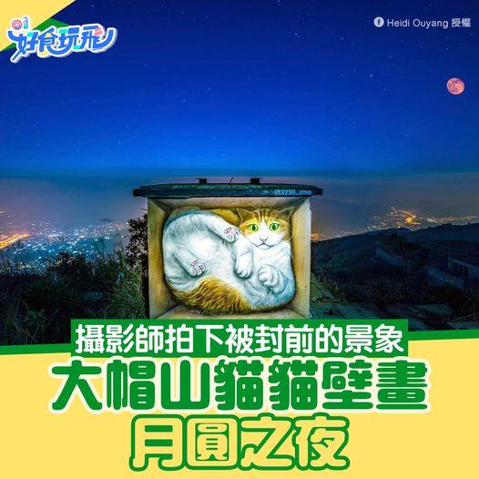 早前人氣急升但被封嘅大帽山貓貓壁畫...