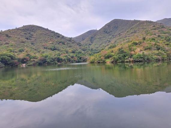 上水古洞水塘.......