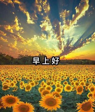 老友記,早上好!開心無煩腦。...