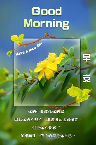 各位朋友早安,
祝福美好,
做更強壯的自己！...