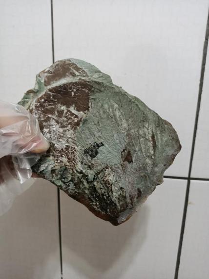 趁婆婆不在「挖出陳年綠翡翠」...