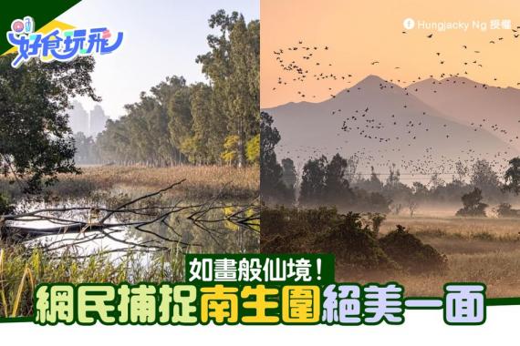 南生圍攝影作品，靚到唔少網民都話如同世外桃園！...