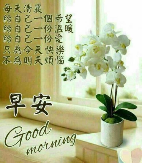 早安，
每天充滿
希望與美好，
知足就好！...