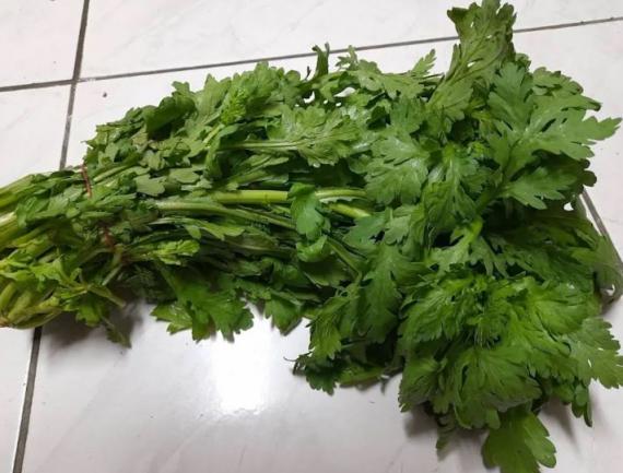 史努比電動車太可愛！好想騎去郊遊...