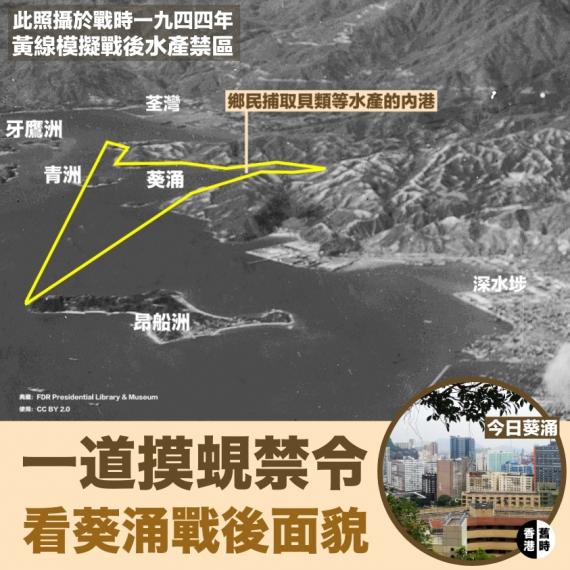 一道摸蜆禁令  看葵涌戰後面貌...