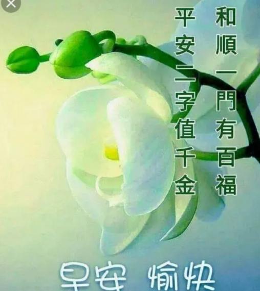 大家早上好，
祝安康，順意！...