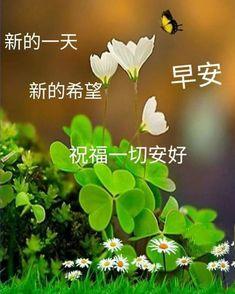 送上片片四葉草,
幸福即來到！
早安！...
