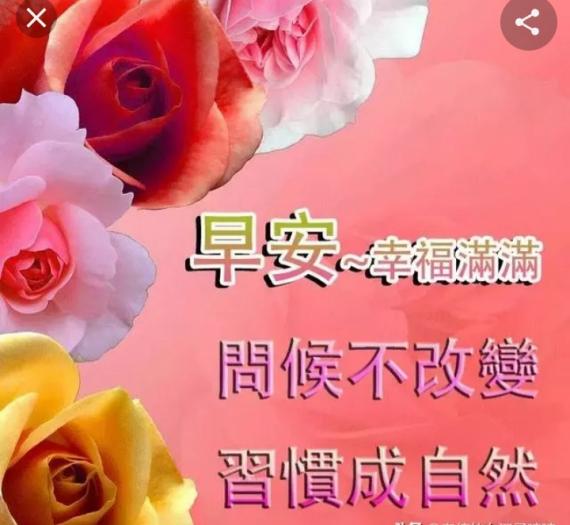 欣賞您的祝福，
感受一天美好！...