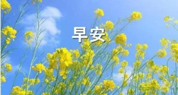 問候一 聲早,
幸福快樂全來到！...