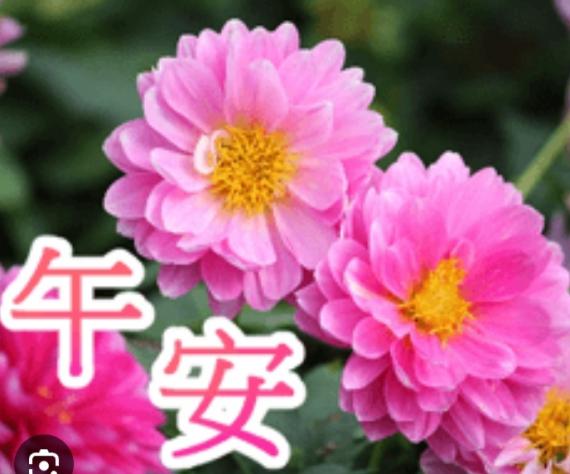 如意
                      吉祥！...