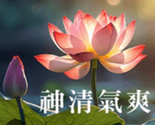 神清
                             氣爽！...
