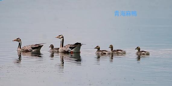 全家
                   樂遊游！...
