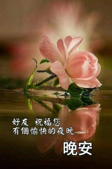祝老友記有愉快的夜晚。...