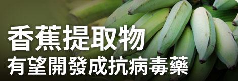 香蕉凝素,據港大醫學院
美國研究人員發現:香
蕉凝素是一種在香蕉果
實中大量存在的蛋白質
通過分子改造,能夠封鎖
病毒如艾滋,新冠病毒,從
而阻斷病毒進入人體路
徑。... 香蕉凝素,據港大醫學院
美國研究人員發現:香
蕉凝素是一種在香蕉果
實中大量存在的蛋白質
通過分子改造,能夠封鎖
病毒如艾滋,新冠病毒,從
而阻斷病毒進入人體路
徑。...