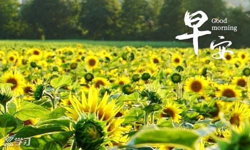 老友記早安,開開心心每一天。...