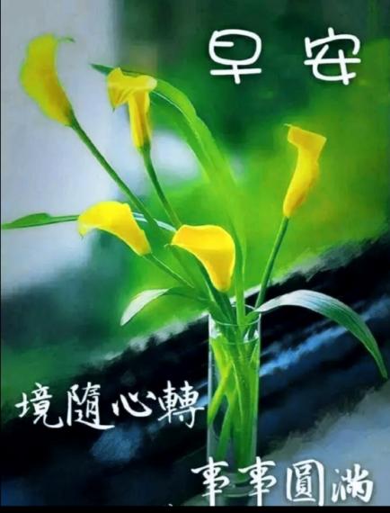 IMG_20220628_173659
