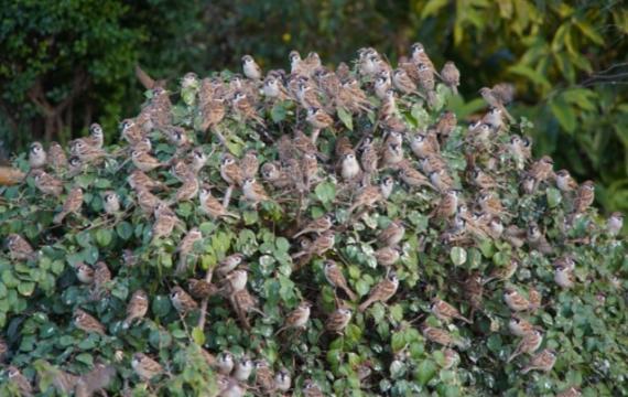 IMG_20230319_182554