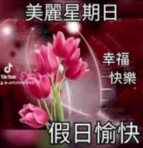 IMG_20250601_044929_0