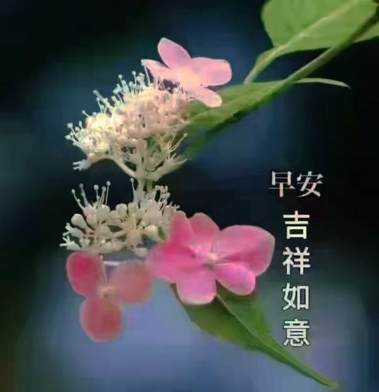 IMG_20220705_175104