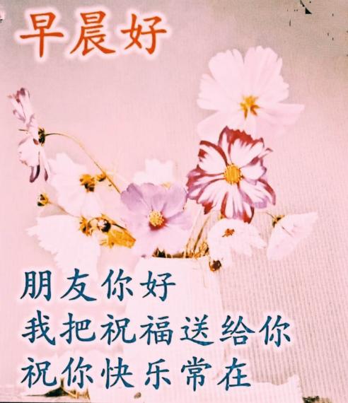 mmexport1655455517829