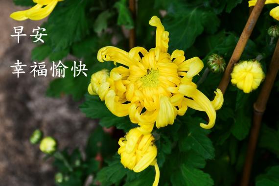IMG-20211229-WA0000