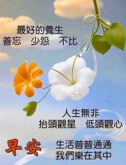 IMG-20250619-WA0008_0